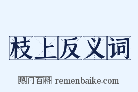 枝上反义词是什么意思的图片